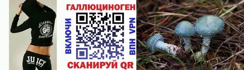 купить наркотик  Иланский  Псилоцибиновые грибы мухоморы 